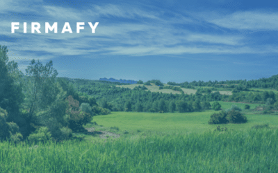 Ayuda para la digitalización de las pymes en entornos rurales