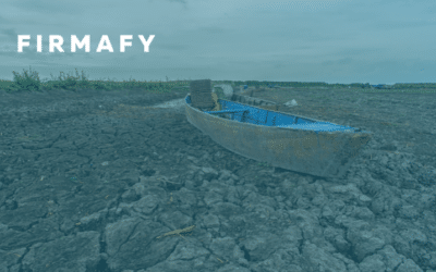 Estos son los efectos devastadores del cambio climático según la ONU